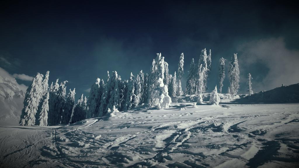 Hotel Pension Barbara Sankt Martin am Tennengebirge Exteriör bild