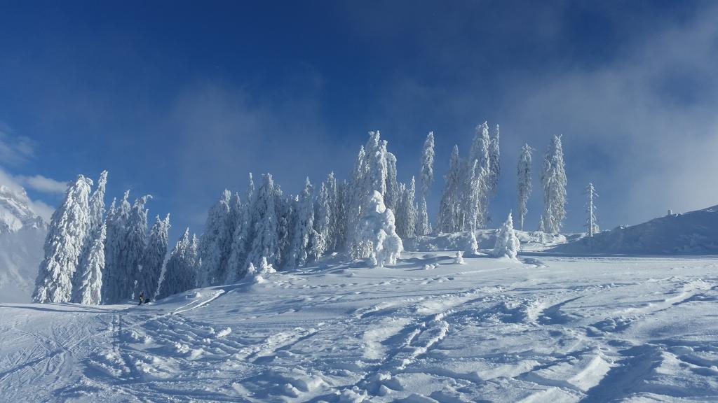 Hotel Pension Barbara Sankt Martin am Tennengebirge Exteriör bild